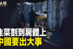 香港希望之聲