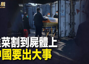【唐人街】2024年8月15至19號會宣佈中國命運的大事？大陸用屍體賺取暴利！