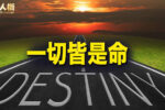 香港希望之聲 香港希望之聲