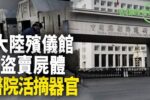 香港希望之聲