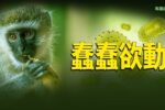 香港希望之聲 香港希望之聲