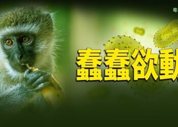 【粵講越有趣】猴痘疫情蠢蠢欲動…