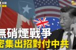 香港希望之聲
