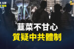 香港希望之聲