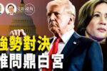 香港希望之聲