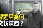 香港希望之聲 香港希望之聲