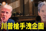 香港希望之聲