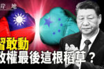 香港希望之聲