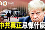 香港希望之聲