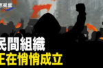 香港希望之聲