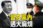 香港希望之聲 香港希望之聲