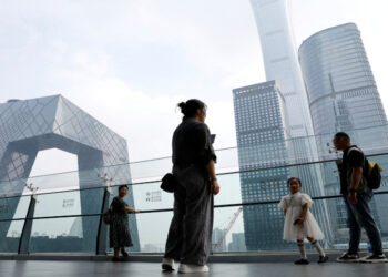 意學者：中國的經濟問題帶毒並危害全球