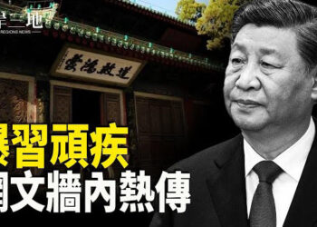 【兩岸三地】微信群傳網文 揭習頑疾；以重創真主黨 但成敗仍存爭議  主播：林詩明