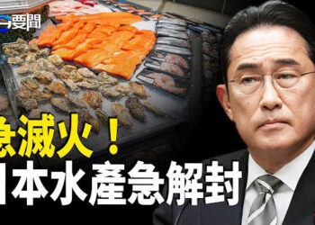 【每日要聞】深圳日男童遇害延燒 中共利益交換急滅火；北京7個90後淹歿 江蘇汽車再撞小學生；北韓稱中共為「宿敵」  「五千年宿敵」   主播：黃容
