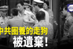 香港希望之聲