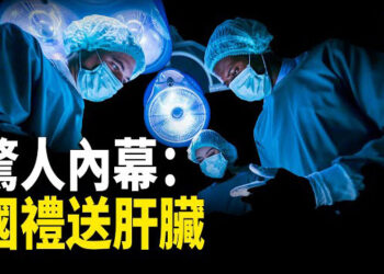 【熱點觀察】多國對中國留學生下逐客令？一帶一路又爆驚人內幕：國禮送肝臟；廣州開啟迎接領導新模式—「趴迎」 主播：紫珊