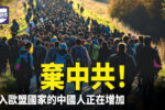 香港希望之聲 香港希望之聲