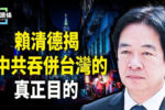 香港希望之聲
