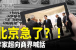 香港希望之聲 香港希望之聲
