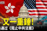 香港希望之聲