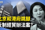 香港希望之聲