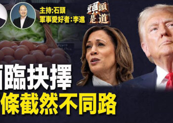 【頭頭是道】對比川普，賀錦麗的經濟政策；邊境問題誰會做得更好；川普會見澤連斯基，堅持公平解決俄烏戰爭。主持：石頭 軍事愛好者：李進