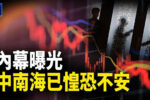 香港希望之聲 香港希望之聲