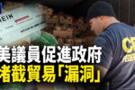 香港希望之聲