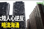 香港希望之聲