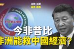 香港希望之聲
