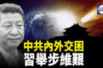 香港希望之聲