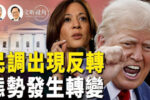 香港希望之聲