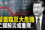 香港希望之聲