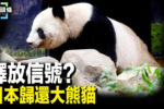 香港希望之聲