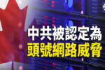 香港希望之聲