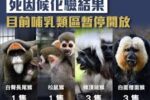 香港希望之聲