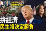 香港希望之聲