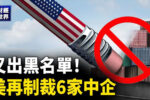 香港希望之聲