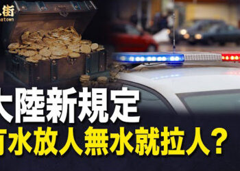 【唐人街】恐怖分子 一夜之間玩完！大陸私人企業被割韭菜.