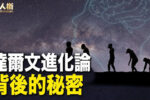 香港希望之聲 香港希望之聲