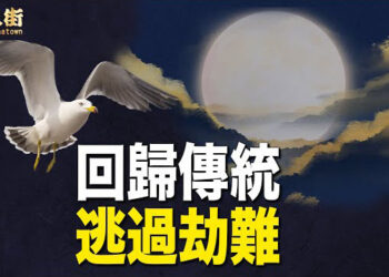 【唐人街】世風日下人心險，回復禮義之邦，中國才有希望.