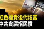 香港希望之聲