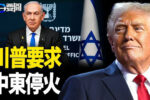 香港希望之聲