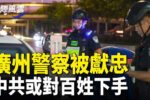 香港希望之聲 香港希望之聲