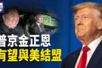 香港希望之聲 香港希望之聲
