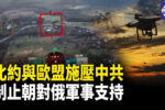 香港希望之聲