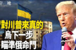 香港希望之聲 香港希望之聲