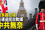 香港希望之聲