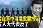 香港希望之聲