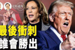 香港希望之聲